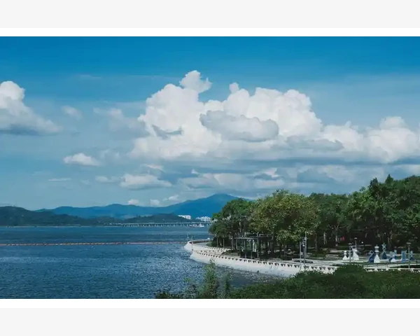 补肾气，女性健康的秘密武器